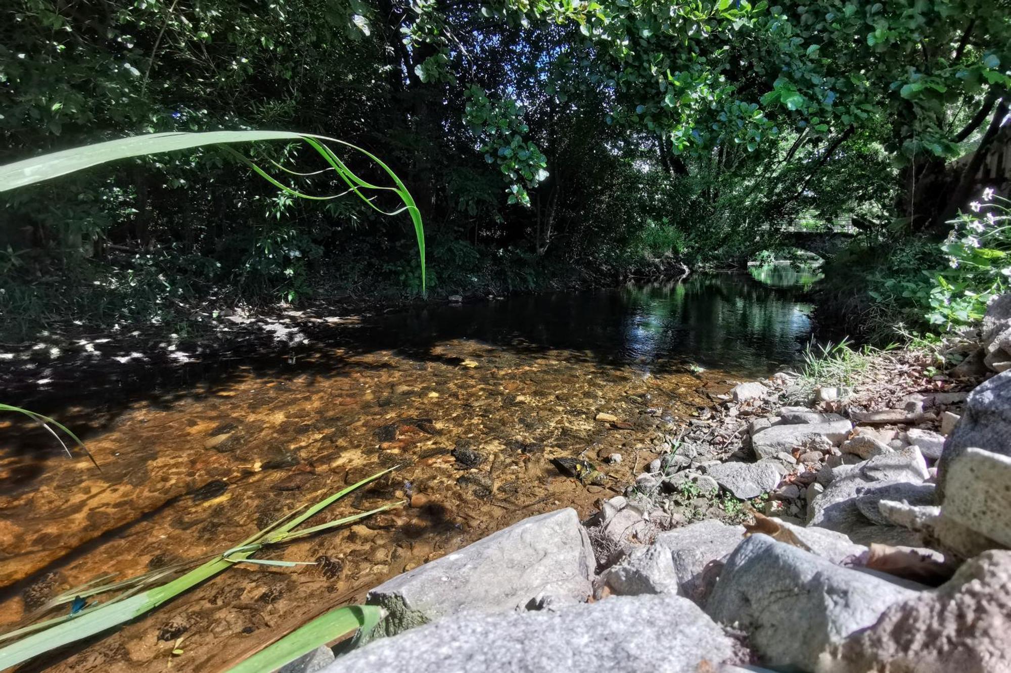 Gite Du Moulin Toucan Berneuil  Luaran gambar